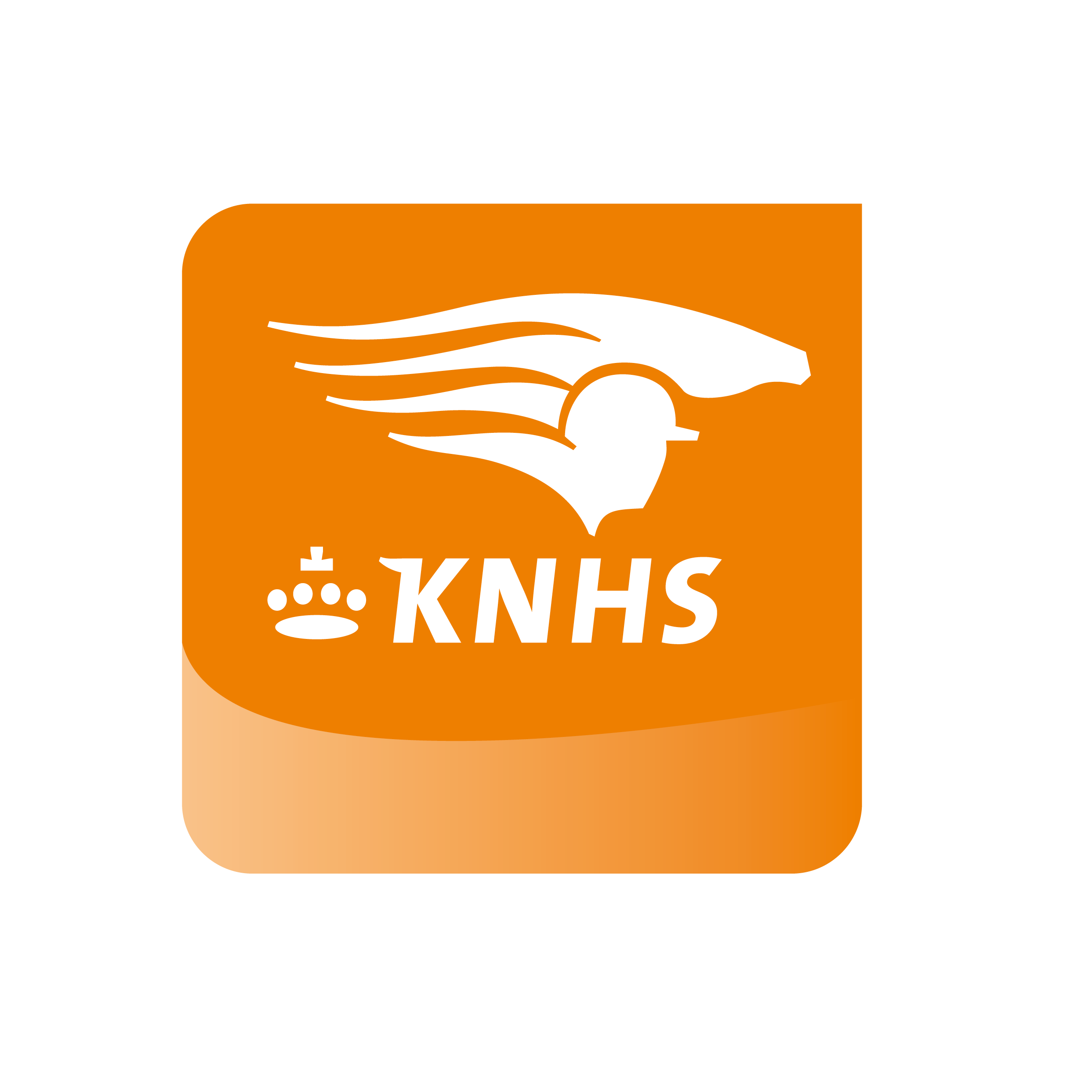 logo_knhs_cmyk