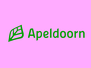 logo-site-500x375