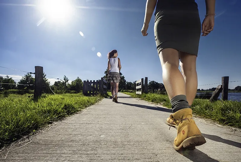Wandelnetwerk-800px