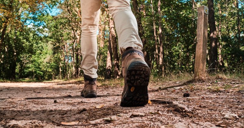 DONE0897-1-242-2099-1105-1760538888