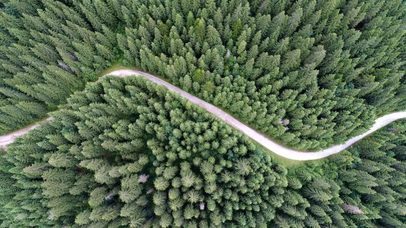 Foto voorbeeld header